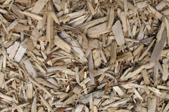 biomass boilers Duffus